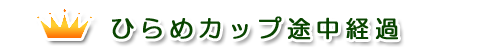 途中経過